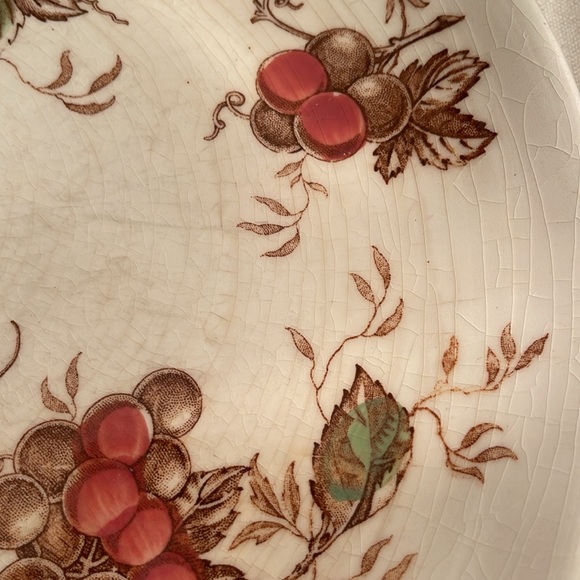 Vintage NAS-O FRUIT ARBOR Dinner Plate/10 in - Picture 4 of 6